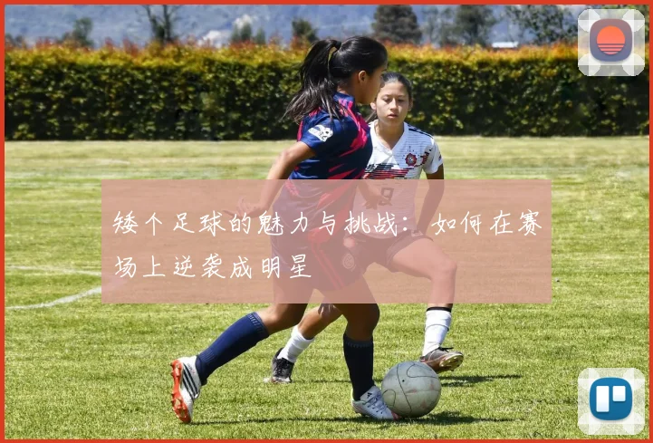 矮个足球的魅力与挑战：如何在赛场上逆袭成明星